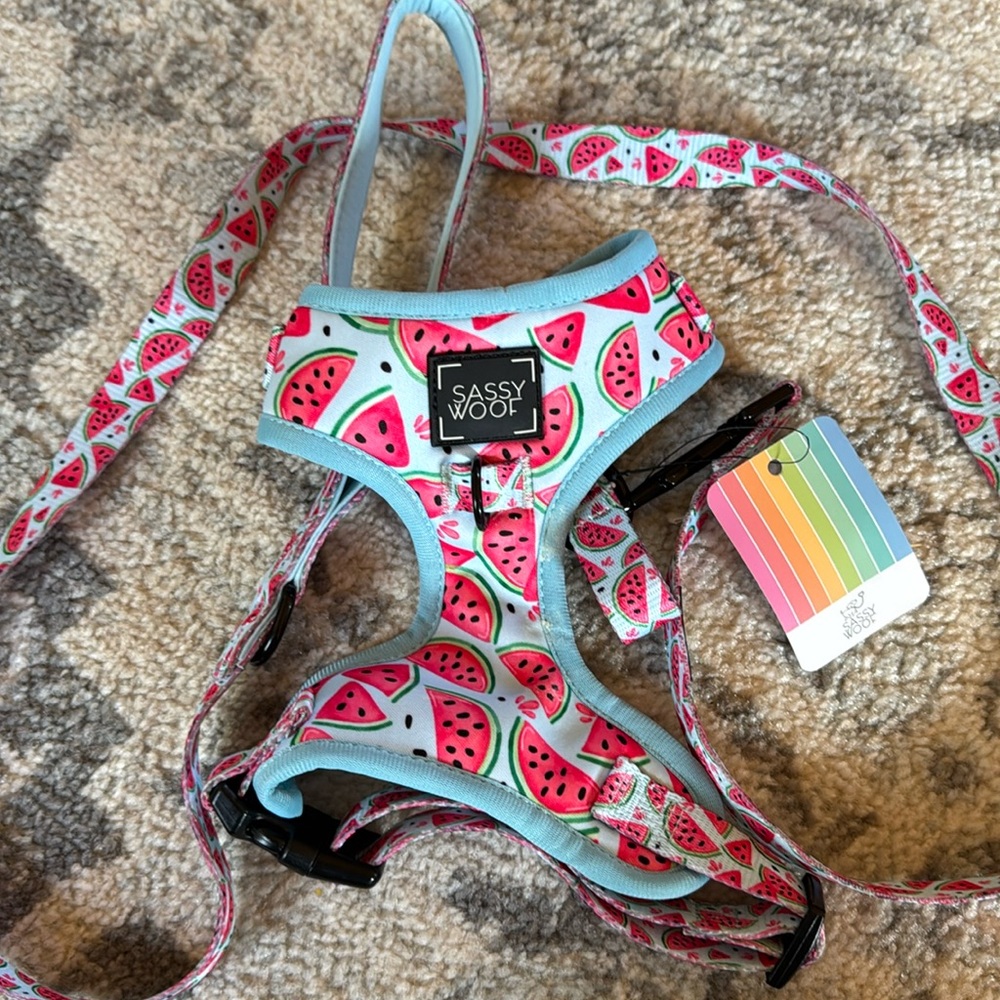 sassy woof  Harness and Leash Set